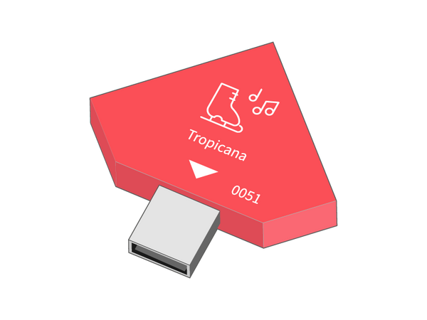 Experience module Holiday on Ice Tropicana