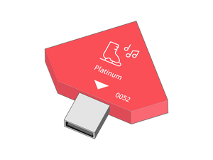 Experience module Holiday on Ice Platinum