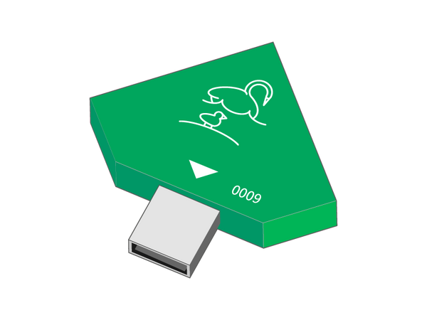Ducks &amp; Swans Experience Module