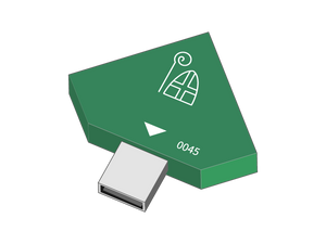 Sinterklaas experience module