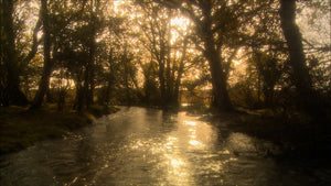 Experience module Autumn &amp; Winter