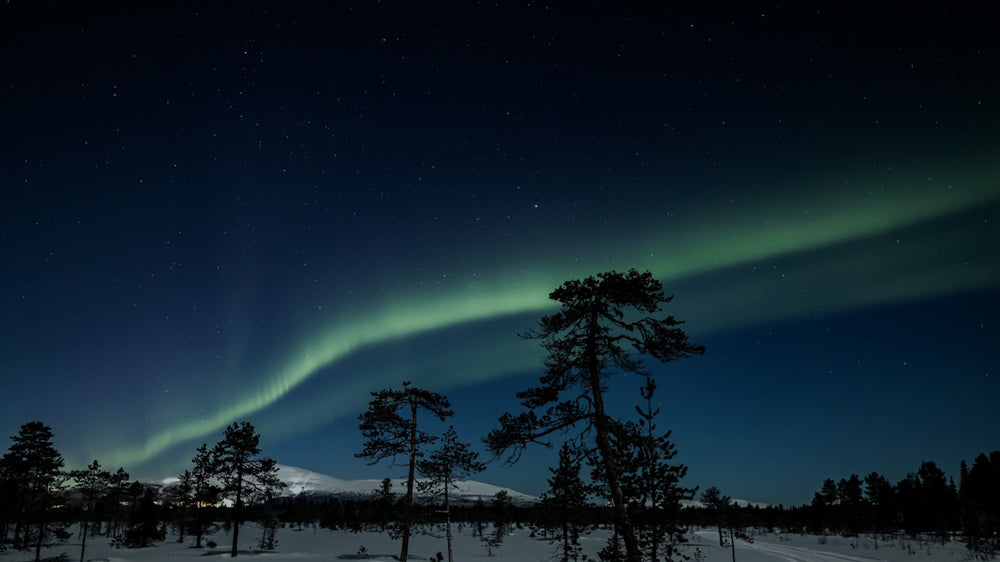 Northern Lights Experience Module