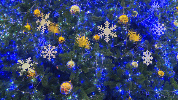 Christmas experience module