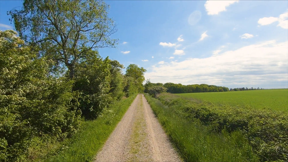 Experience module Cycling &amp; Walking Mols Bjerge