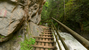 Experience module Walking Austria